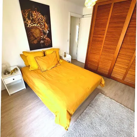 Charming T2 In Center Apartment *